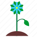 bud, flower, leaf, nature, plant