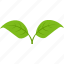 dual, green, leaf, plant, tea 