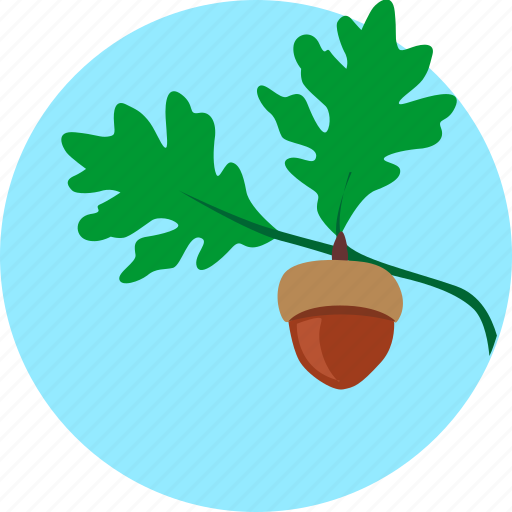 Grow, leaf, oak, plant, sky, tree icon - Download on Iconfinder