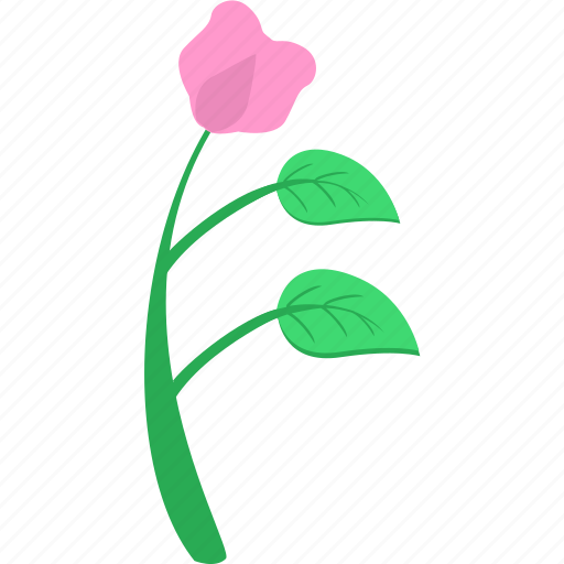 Chinese, flower, grow, plant, rose icon - Download on Iconfinder