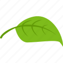 green, leaf, plant, tea