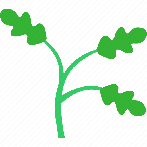 Garden, grow, leaf, oak, plant, tree icon - Download on Iconfinder