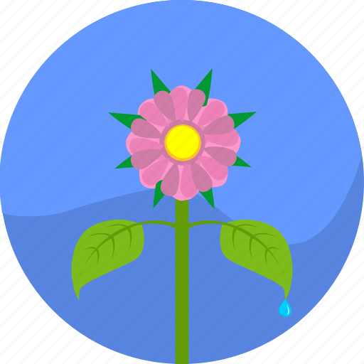 Eco, garden, natural, plant, rose icon - Download on Iconfinder