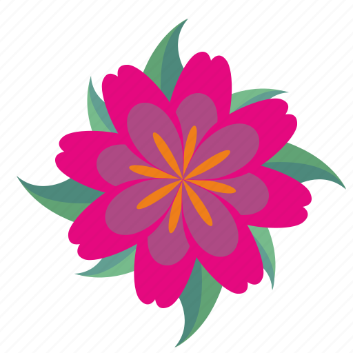 Astra, bud, complex, flower, plant icon - Download on Iconfinder