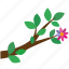 branch, flower, leaves, tree 