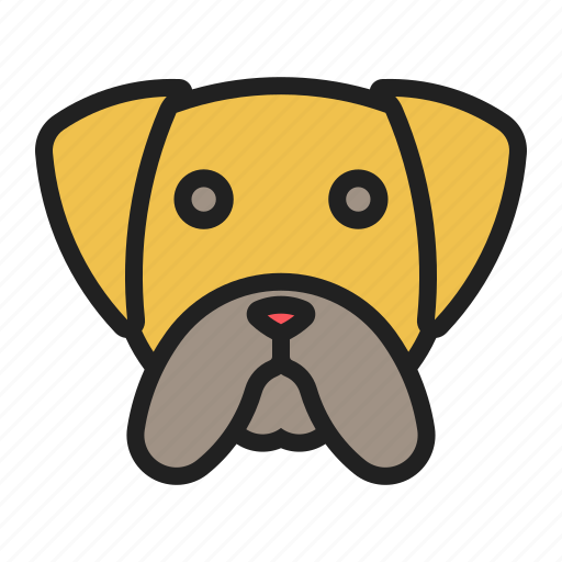 Boxer, dog, face, medium, pet icon - Download on Iconfinder
