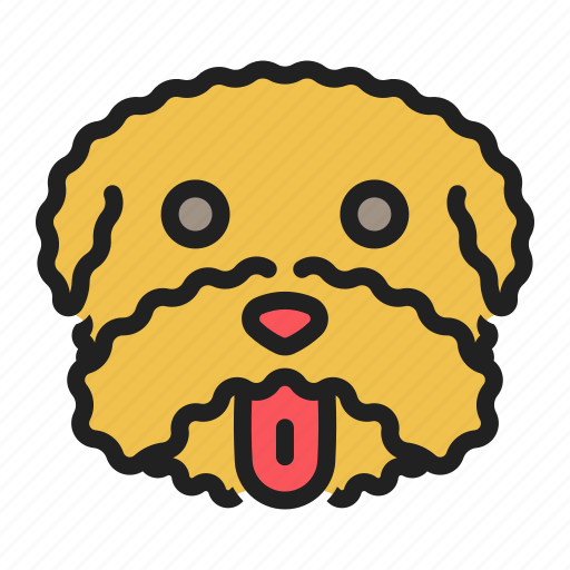 Dog, face, maltese, pet, small icon - Download on Iconfinder