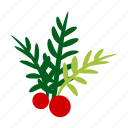 pine, leaf, plant, christmas