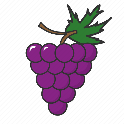 Food, fruit, grapes, summer fruit icon - Download on Iconfinder