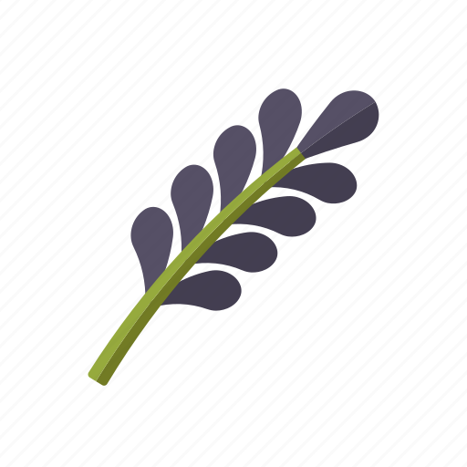 Blossom, condiment, food, herb, ingredients, lavender, seasoning icon - Download on Iconfinder