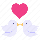 love birds, romance, animals, couple