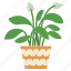 house, plants, peace, lilly, flower, pot, flowerpot 