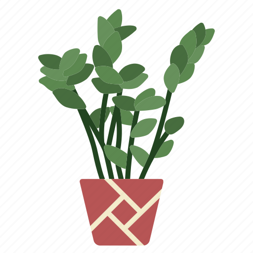 House, plants, zanzibar gem plant, zanzibar, tree, decoration, leaves icon - Download on Iconfinder