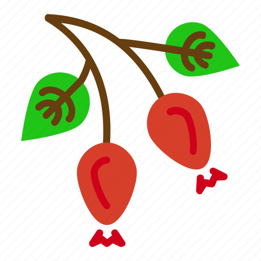 Fruit, haw, hep, hip, plant, rose icon - Download on Iconfinder