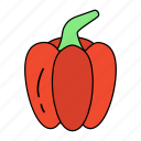 bell pepper, capsicum, ingredient, paprika, red fruit, spice, vegetable