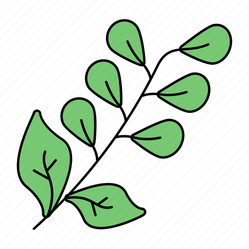Common sage, leaves, officinalis, plant, salvia icon - Download on Iconfinder