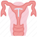 tubal, ligation, contraceptive, methods, birth, control, healthcare, medical, pregnancy