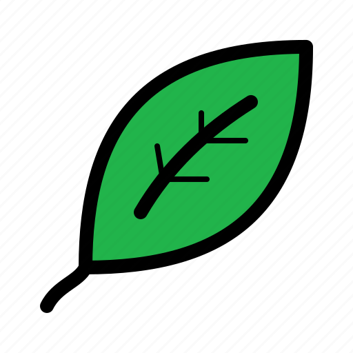 Bay leaf, ecological, environmental, foliage icon - Download on Iconfinder