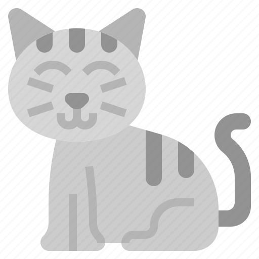 Cat, kitten, miscellaneous, rub, pets, animal, play icon - Download on Iconfinder
