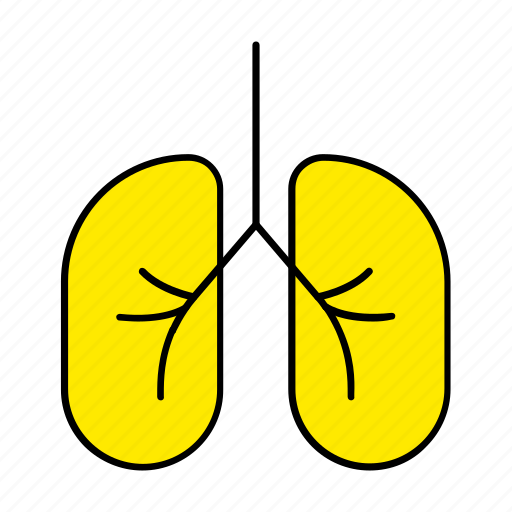 Anatomy, biology, doctor, lung, lungs, physician icon - Download on Iconfinder