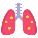 lungs, organ, pulmonology, breath, anatomy, healthcare, medical