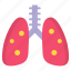 lungs, organ, pulmonology, breath, anatomy, healthcare, medical 