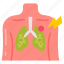 pneumonia, lungs, infection, cancer, respiratory, disease, angina, pectoris, attack 