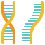 dna, genetics, genomic, rna, strand, virus 