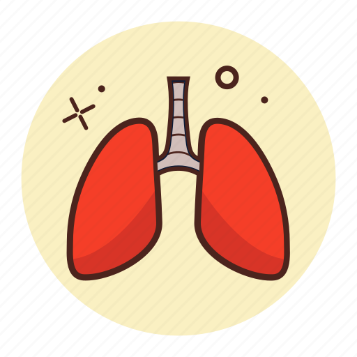 Anatomy, breath, breathe, breathing, human, lungs, organ icon - Download on Iconfinder