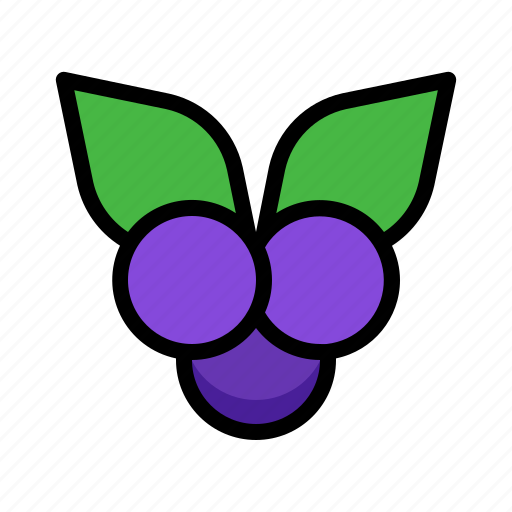 Blueberry, fruit, berry, nautre, vitamin icon - Download on Iconfinder