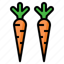 carrot, vegetable, plant, horticulture, agriculture