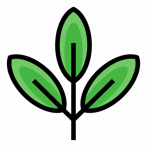 Green tea, sprout, organic, herb, nature icon - Download on Iconfinder