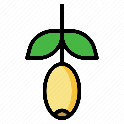 Jojoba, fruit, herb, nutrition, organic icon - Download on Iconfinder