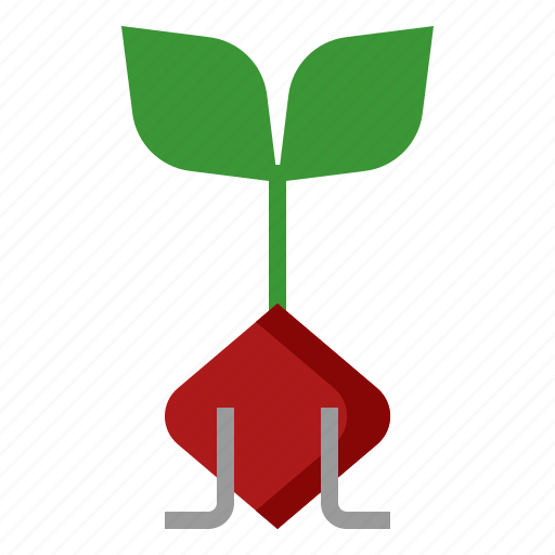 Beetroot, plant, sprout, agriculture, organic icon - Download on Iconfinder