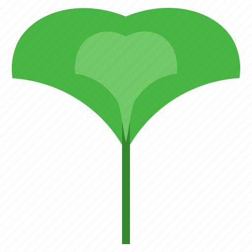 Ginkgo, herbal, leaf, herb, plant icon - Download on Iconfinder