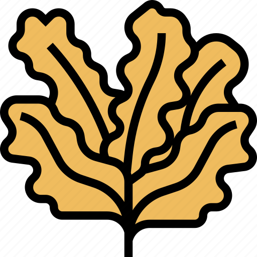 Seaweed, collagen, extract, natural, ingredient icon - Download on Iconfinder
