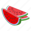 watermelon, pieces, isometric 