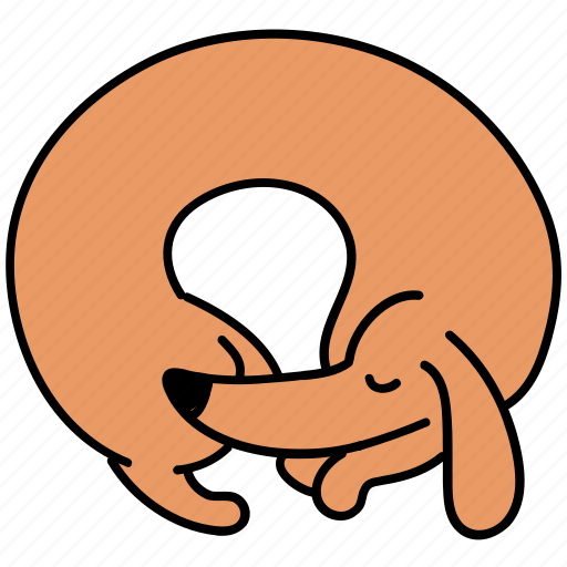 Canine, curl, dachshund, dog, pet, sleep icon - Download on Iconfinder
