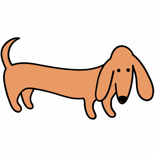 Animal, canine, dachshund, dog, look, pet, stand icon - Download on Iconfinder