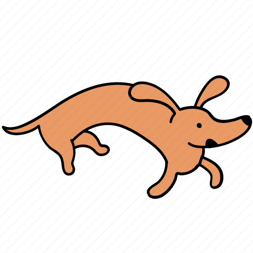 Animal, canine, crazy, dachshund, dog, pet, run icon - Download on Iconfinder