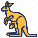 animal, australia, australian symbol, kangaroo