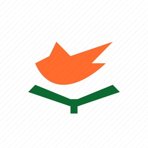 Cyprus, flag icon - Download on Iconfinder on Iconfinder