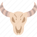 buffalo, bull, skull, head, animal