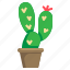 cactus, desert, botanic, holiday, botanical 