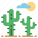 cactus, nature, sand, sun
