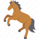 horse, stallion, equestrian, ride, farm