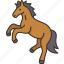 horse, stallion, equestrian, ride, farm 