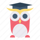 animal, bird, graduation hat, owl