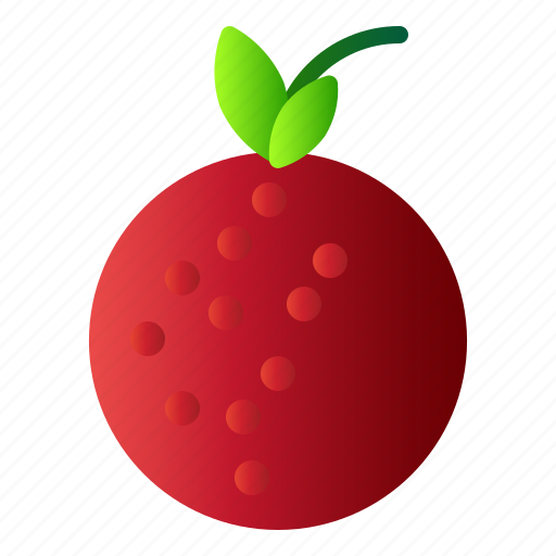 Food, fruit, healthy, lychee icon - Download on Iconfinder