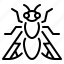 fly, layer, agile, habitat, flora, natural, anatomy, micro, delicate 